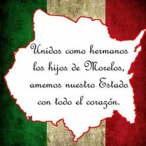 Meet your Posher, Hector