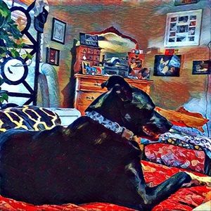 Meet your Posher, Danna