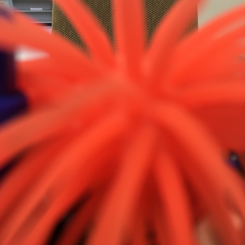 Meet your Posher, Carla