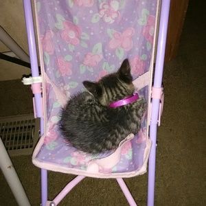 Meet your Posher, Judy