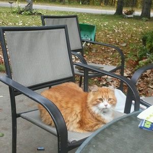 Meet your Posher, Darlene