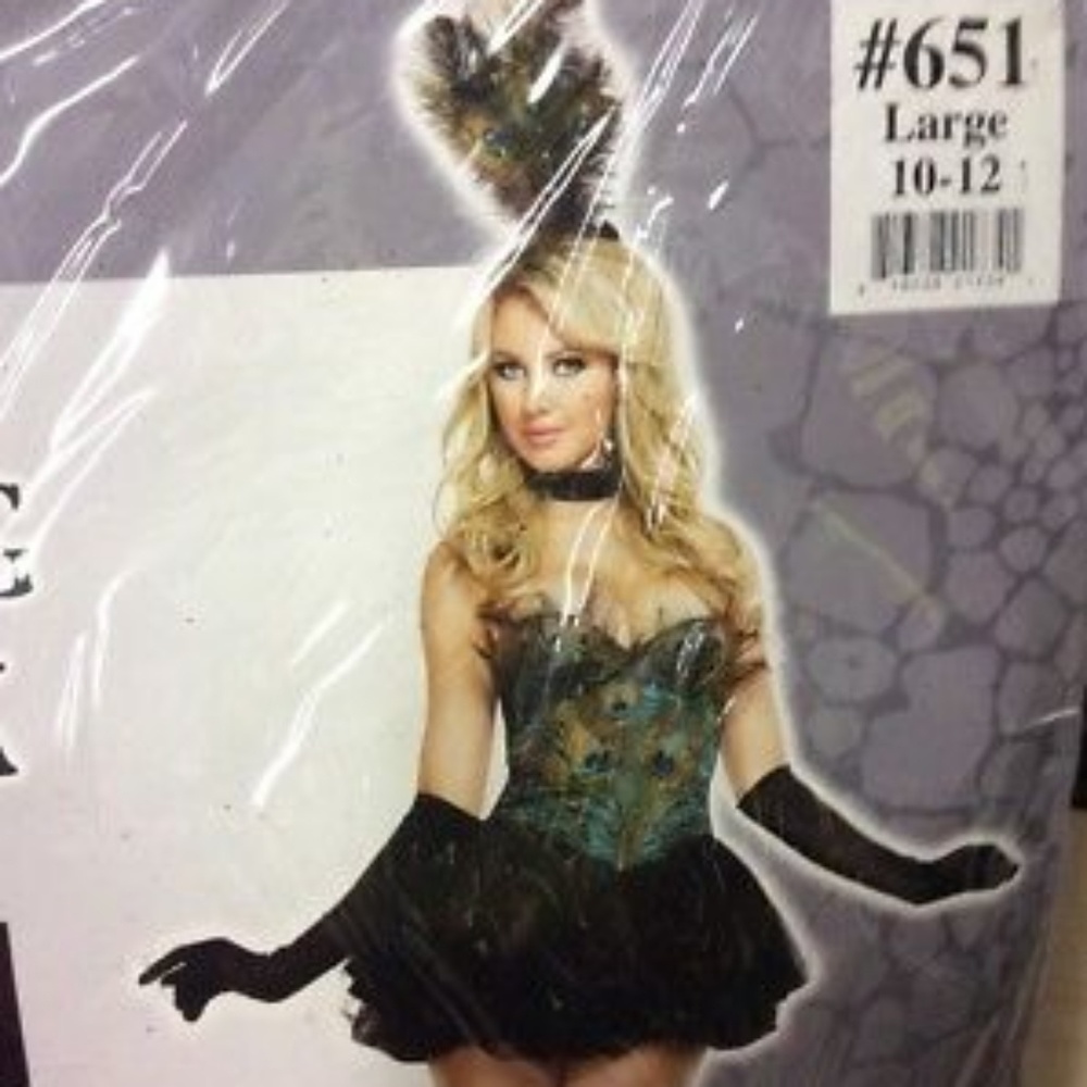 Ravishing Peacock Costume