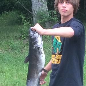 Meet your Posher, Levi