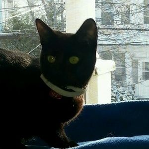 Meet your Posher, Ivette