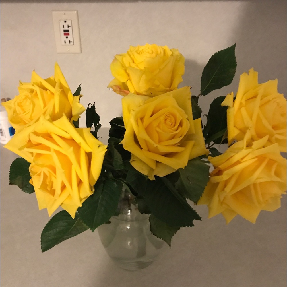 Meet your Posher, Michele