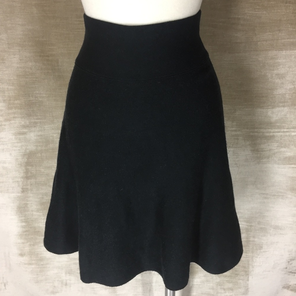 Aritzia Talula fall skirt