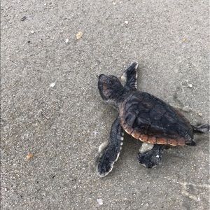 Meet your Posher, Noah