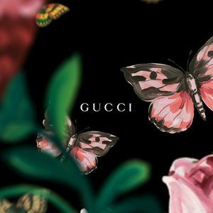 Meet your Posher, Erin nicole