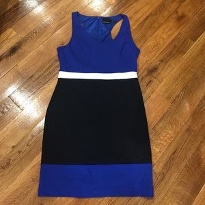 Cynthia Rowley Fitted Dress