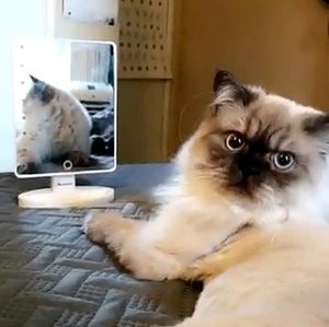 Meet your Posher, Daniel