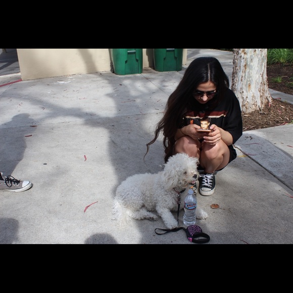 Please help! - Picture 3 of 4