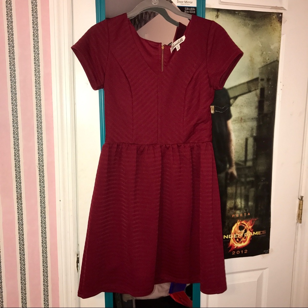 Brand new never worn Francesca's dress