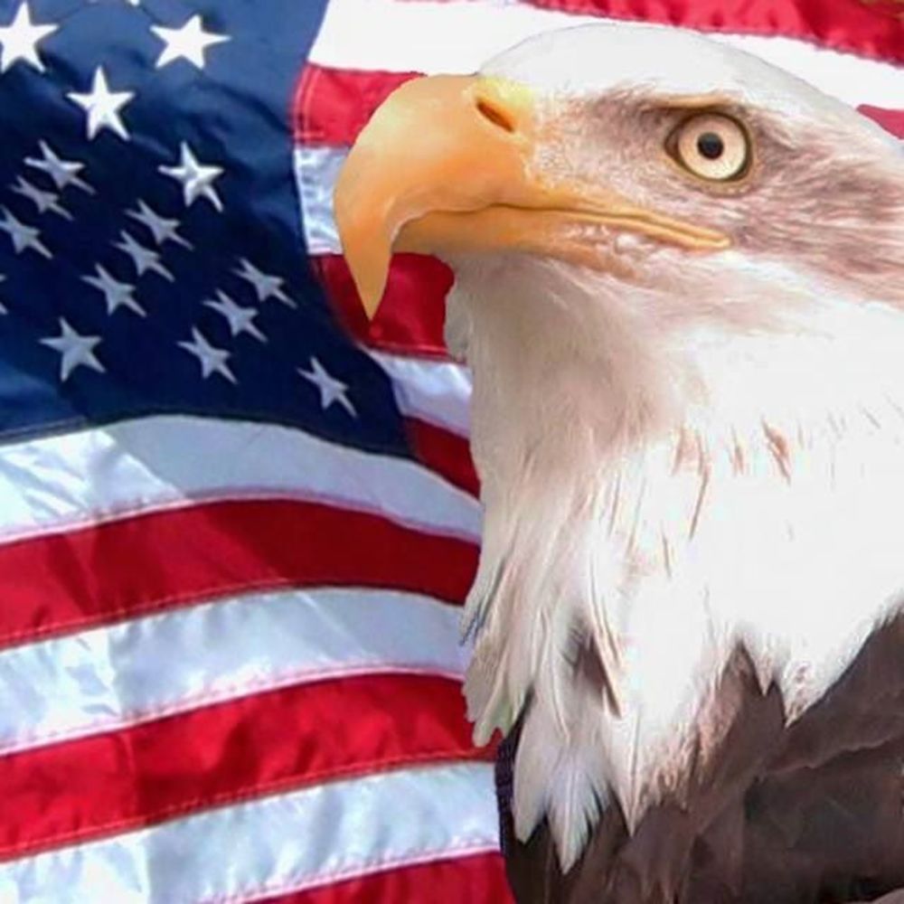 Meet your Posher, Travis