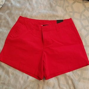 Lane Bryant Everyday Short 16