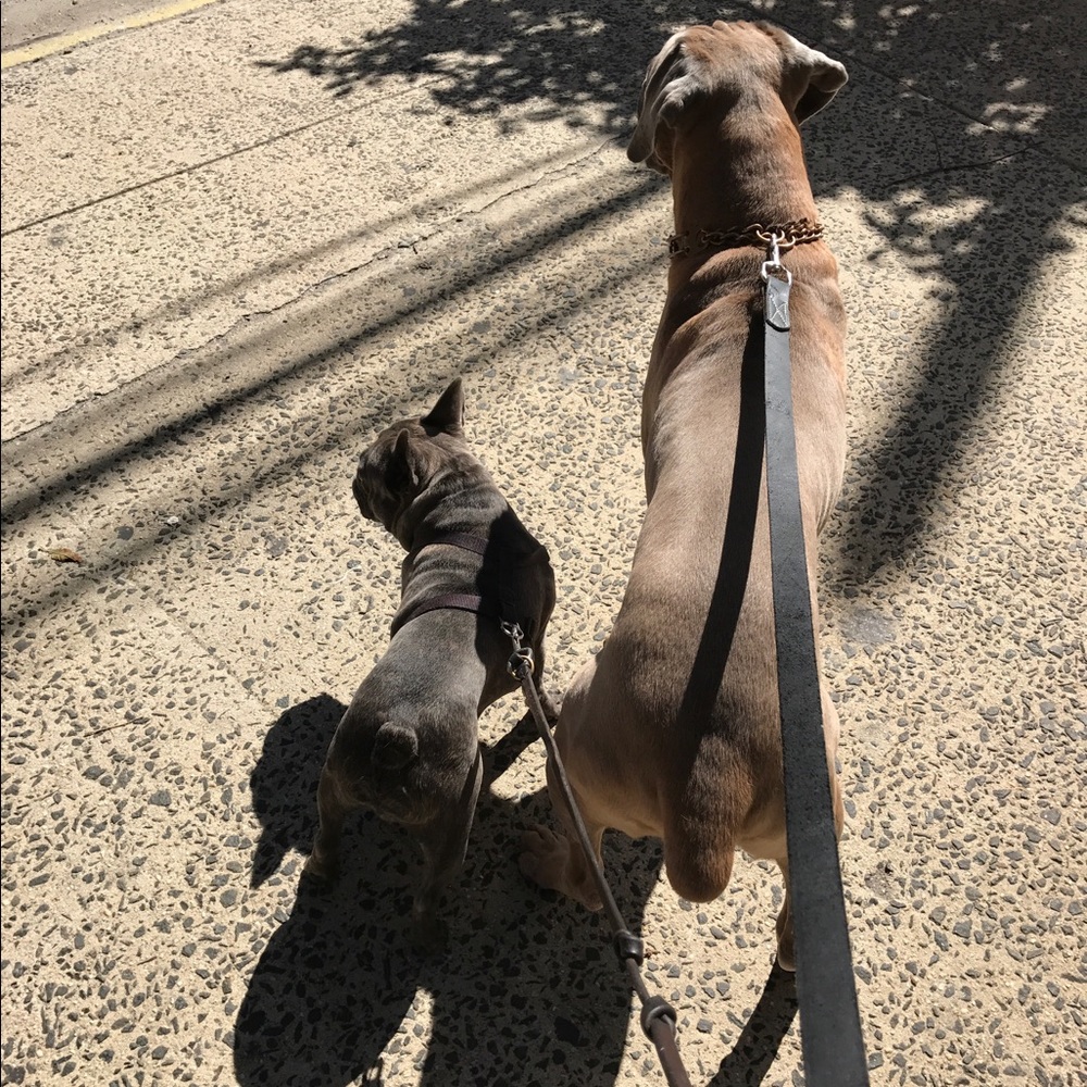 Meet your Posher, Emma