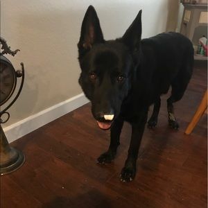 Meet your Posher, Maritza