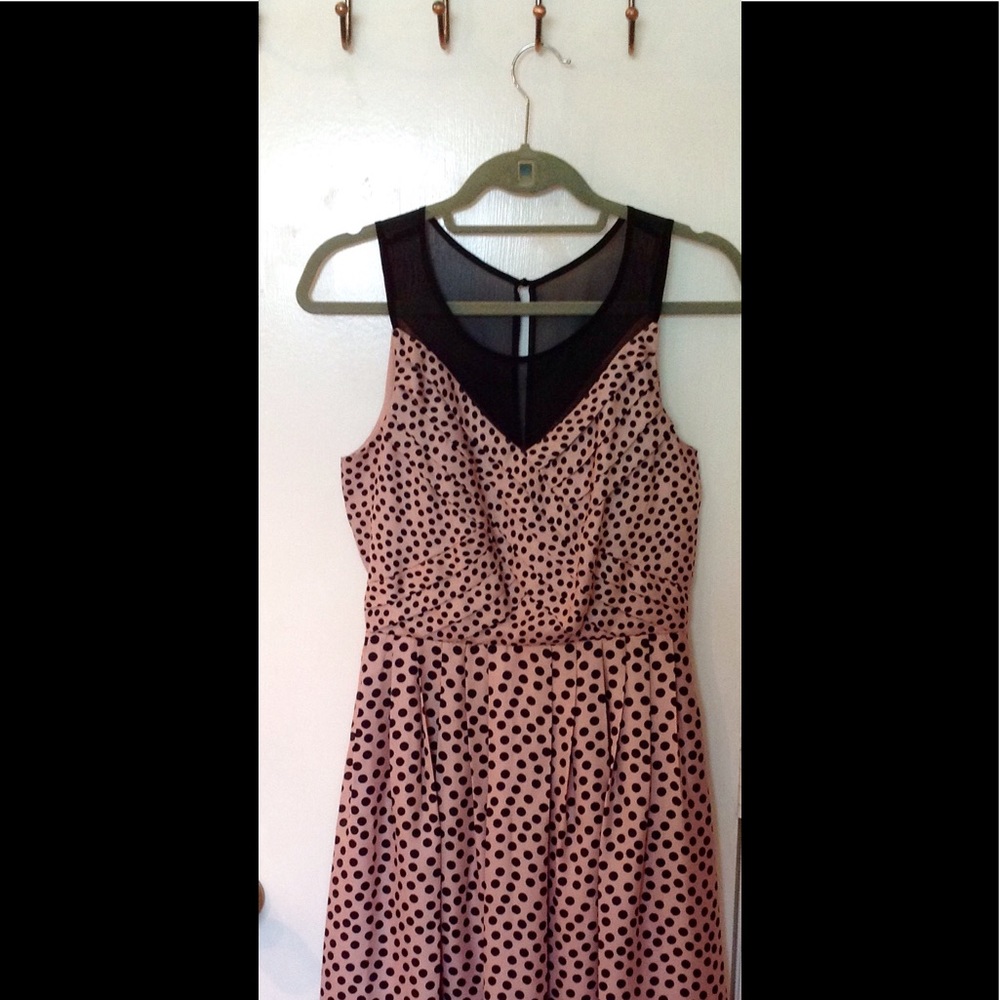 🌺NWT🌺LC Lauren Conrad Polka Dot Dress