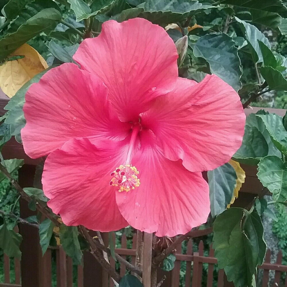 Meet your Posher, Claire