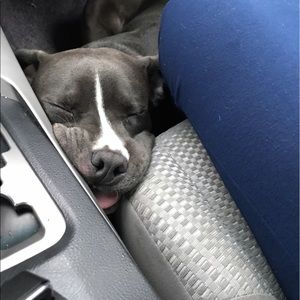 Meet your Posher, Greg