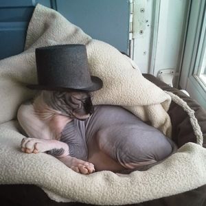 Meet your Posher, Atetoomuchpopcorn