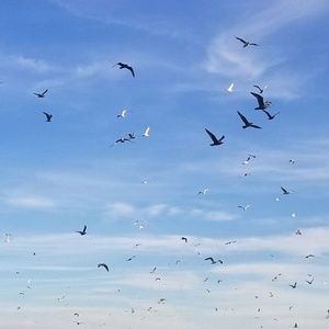 Meet your Posher, Naylah