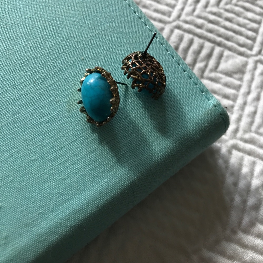 Beautiful robins egg earrings