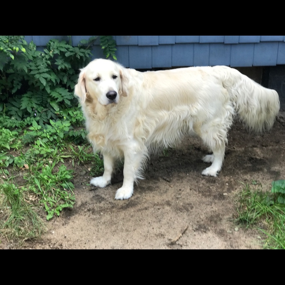 Meet your Posher, Marianne