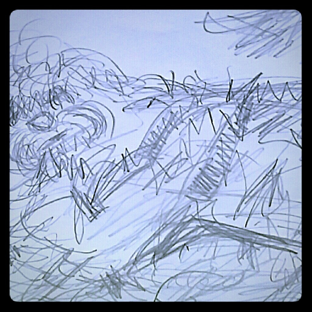 NFS Sketch of My Little Sweet Havanese