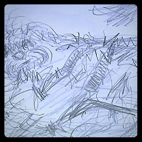 NFS Sketch of My Little Sweet Havanese - Picture 1 of 1