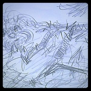 NFS Sketch of My Little Sweet Havanese