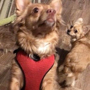 Meet your Posher, Kelli