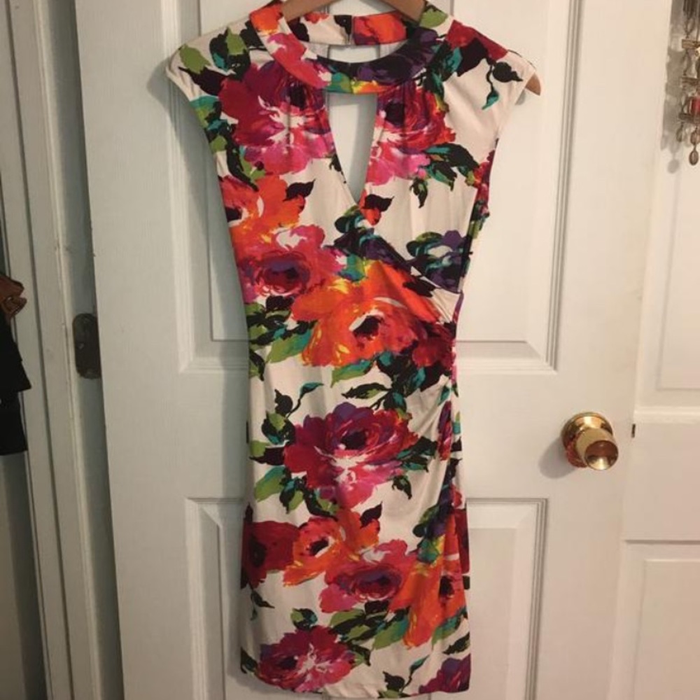 Cache Floral Dress
