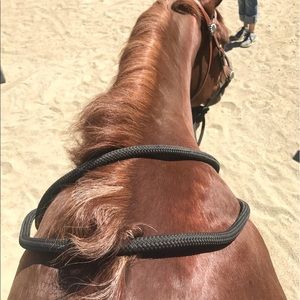 Meet your Posher, Ally