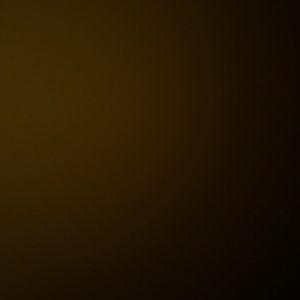 Meet your Posher, Jenilee