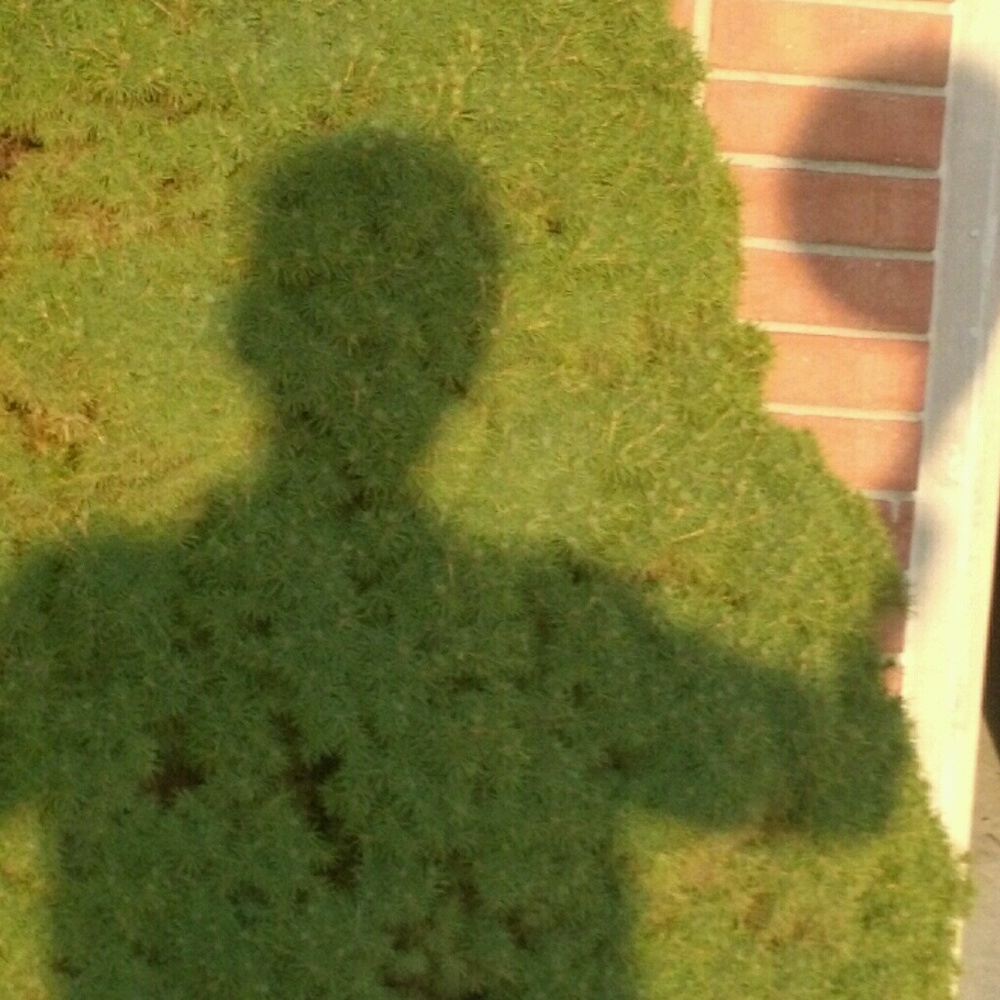 Meet your Posher, Dylan