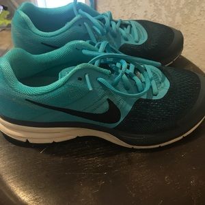 Nike Zoom fitsoul Pegasus 30