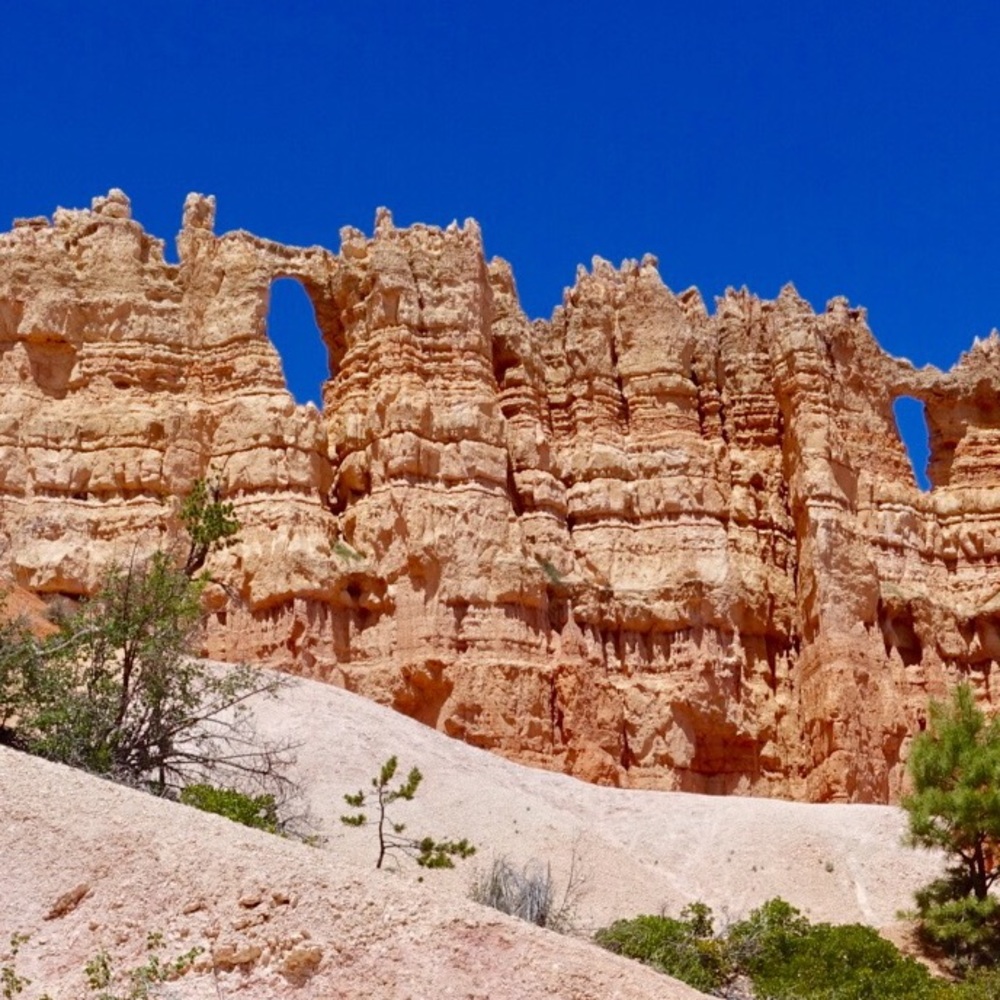 Meet your Posher, Tamara