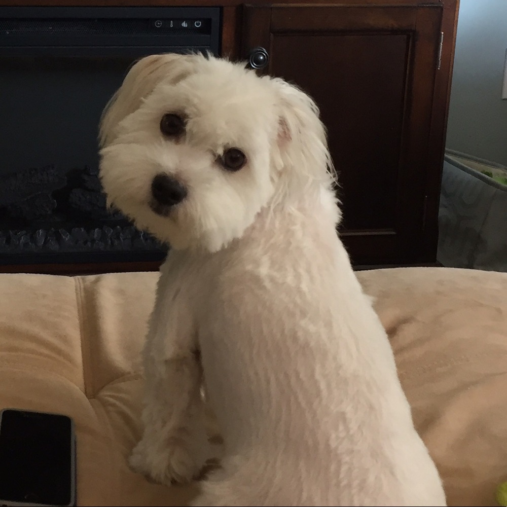 Meet your Posher, Caitlin