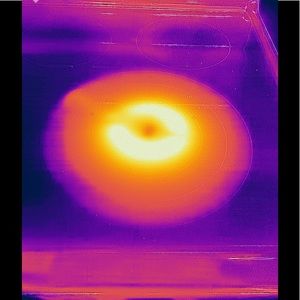 Meet your Posher, Bryan