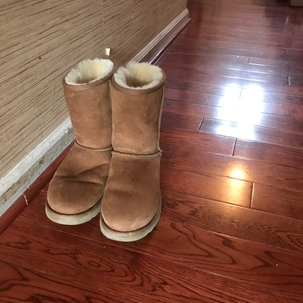 Chestnuts Uggs - image 2