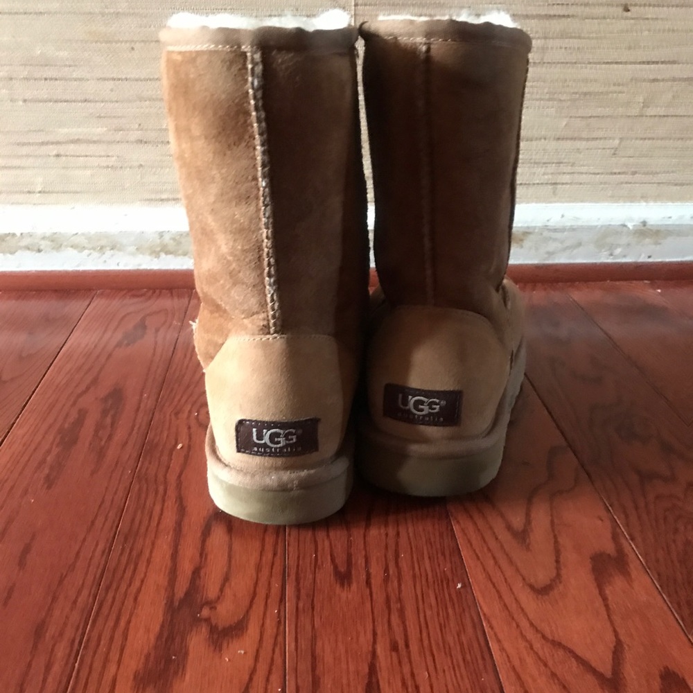 Chestnuts Uggs - image 3