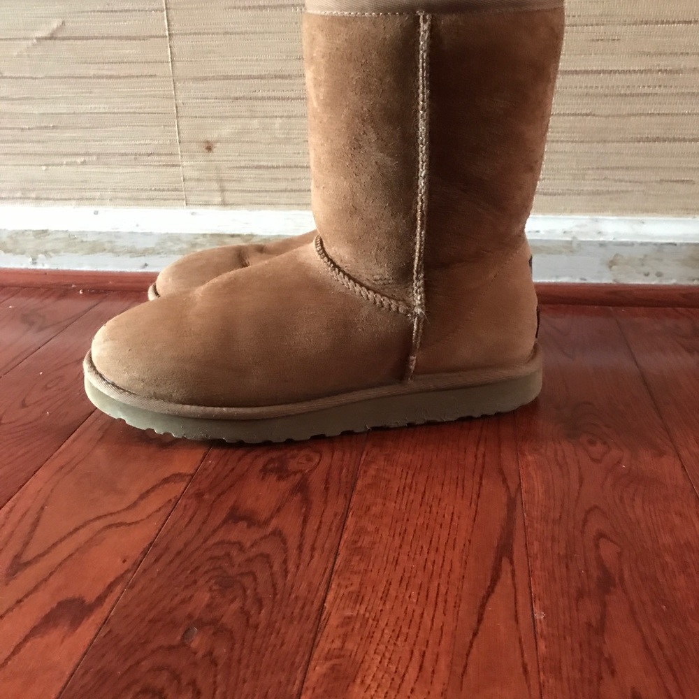 Chestnuts Uggs - image 4