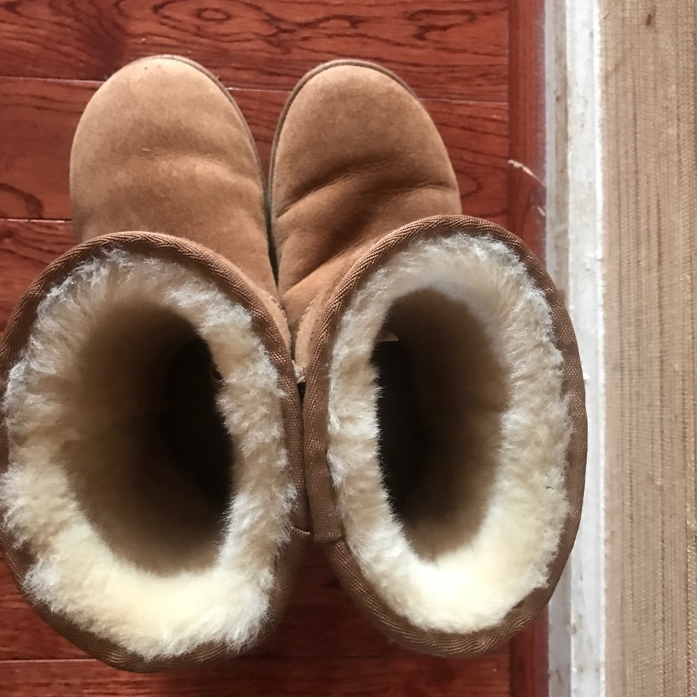 Chestnuts Uggs - image 5