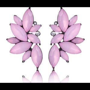 ☀️ 🎉 HP 🎉 Gorgeous “Pink Wings” Earrings