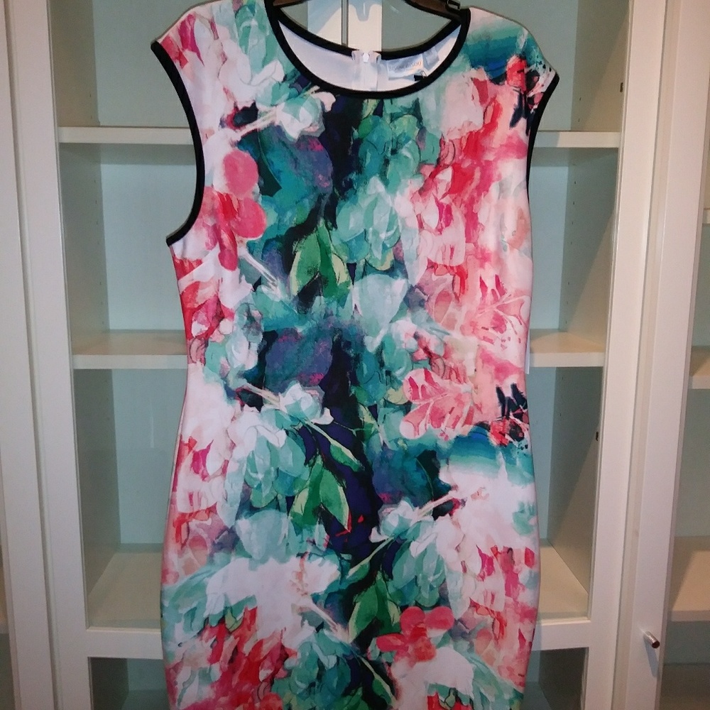 Sheath Dress