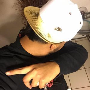 Meet your Posher, Harold