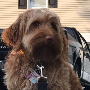 Meet your Posher, Nicky