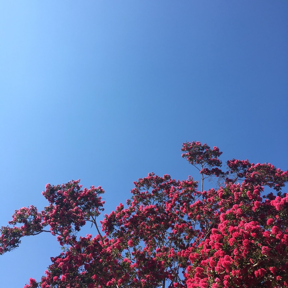 Meet your Posher, Yohana