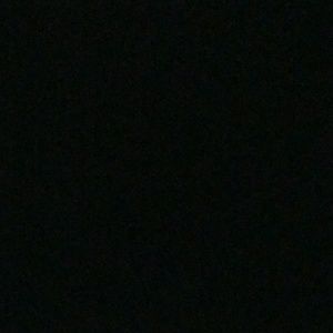 Meet your Posher, Adrienne