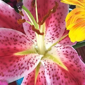 Meet your Posher, Christine